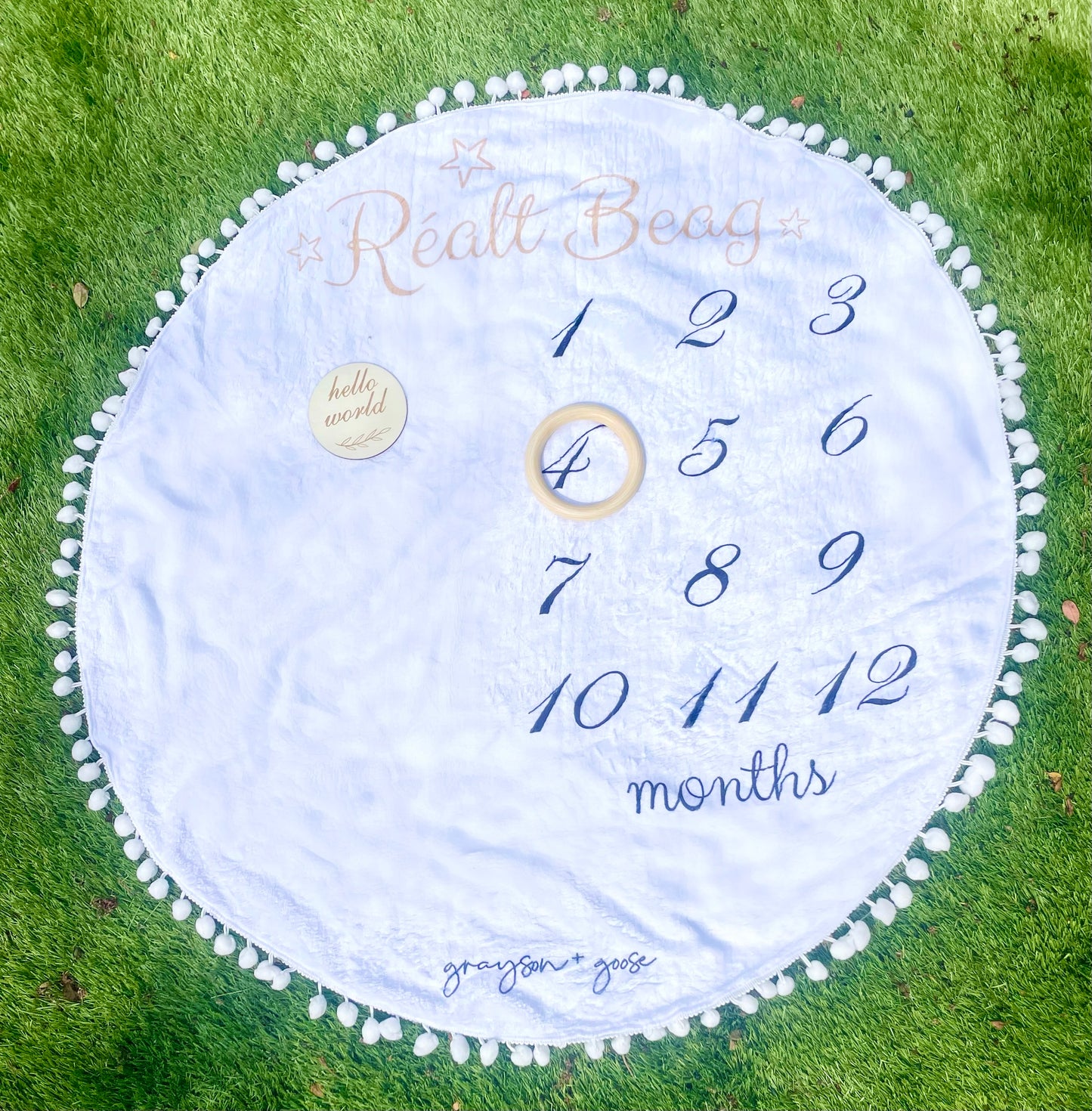 Baby Milestone Blanket